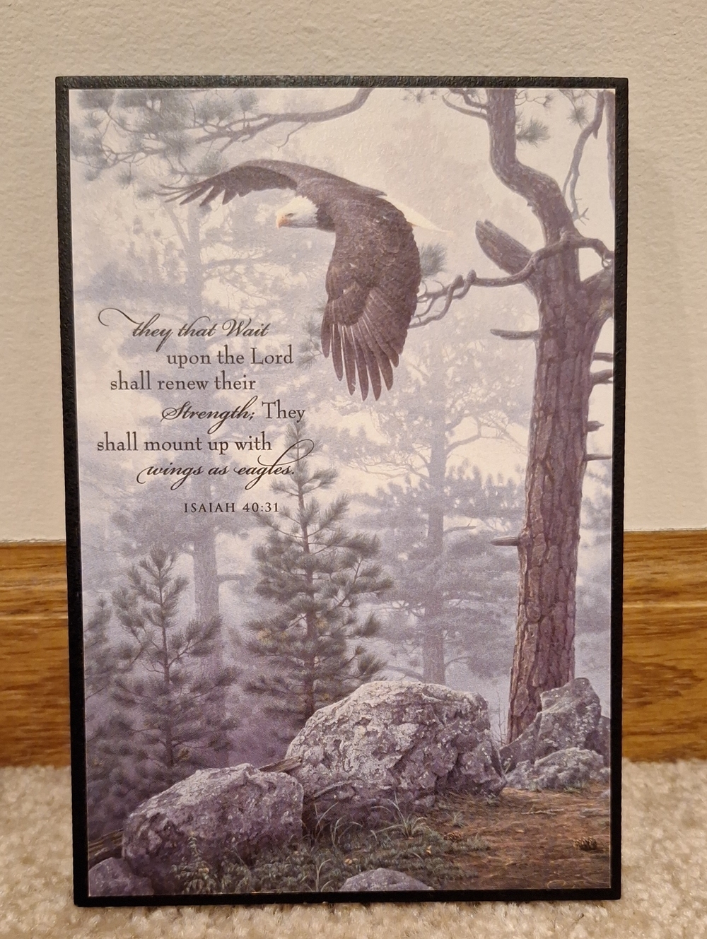 Isaiah 40:31 Scripture Wall Art